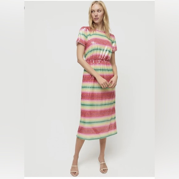 J Crew Dress Women's Sz 2 Watermelon Sequined Lined A-line MIdi Sparke NWT $129 - Picture 8 of 12